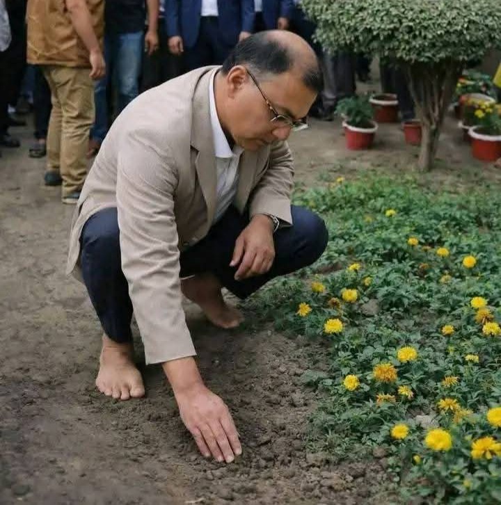 ---