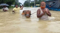 বন্যার কবলে দেশ, ৭ জেলায় মৃত্যু ৪৪ জনের